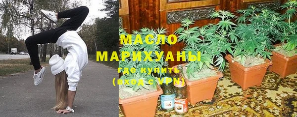 индика Кинешма