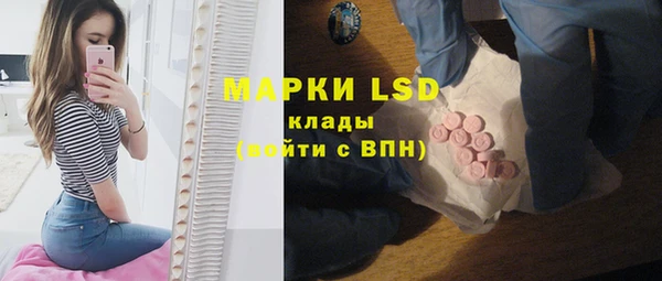 индика Кинешма