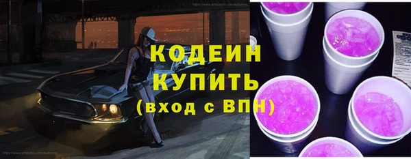 индика Кинешма