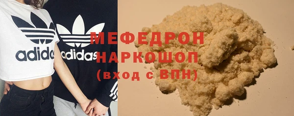 индика Кинешма