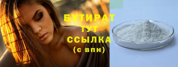 индика Кинешма