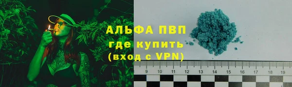 индика Кинешма
