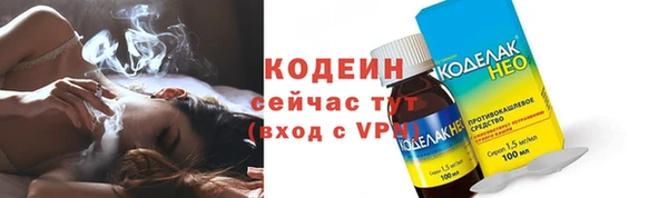 индика Кинешма