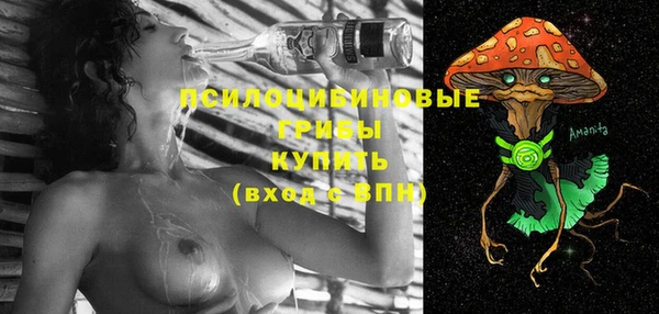 индика Кинешма