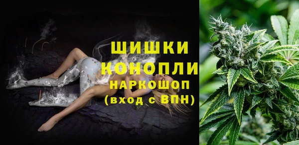 индика Кинешма