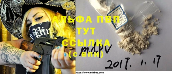 индика Кинешма