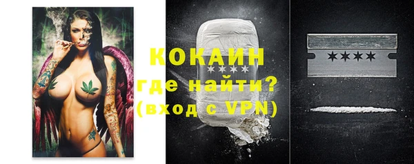 индика Кинешма