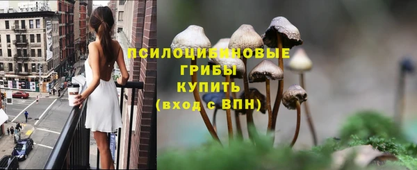 индика Кинешма