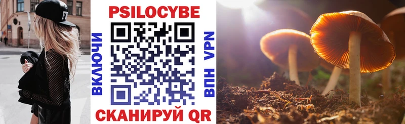 Псилоцибиновые грибы GOLDEN TEACHER  где купить   Могоча 